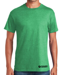 Heather-Irish-Green-Softstyle-Adult-T-Shirt