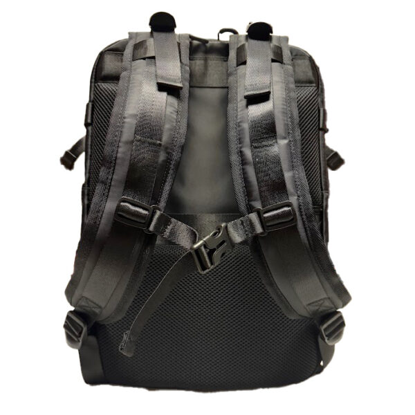 Alternative view of The Backpack